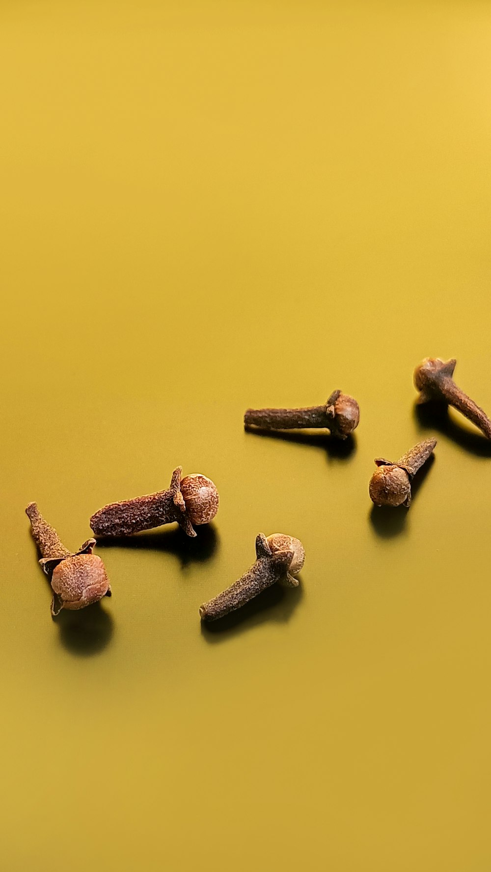 a group of nuts on a yellow surface