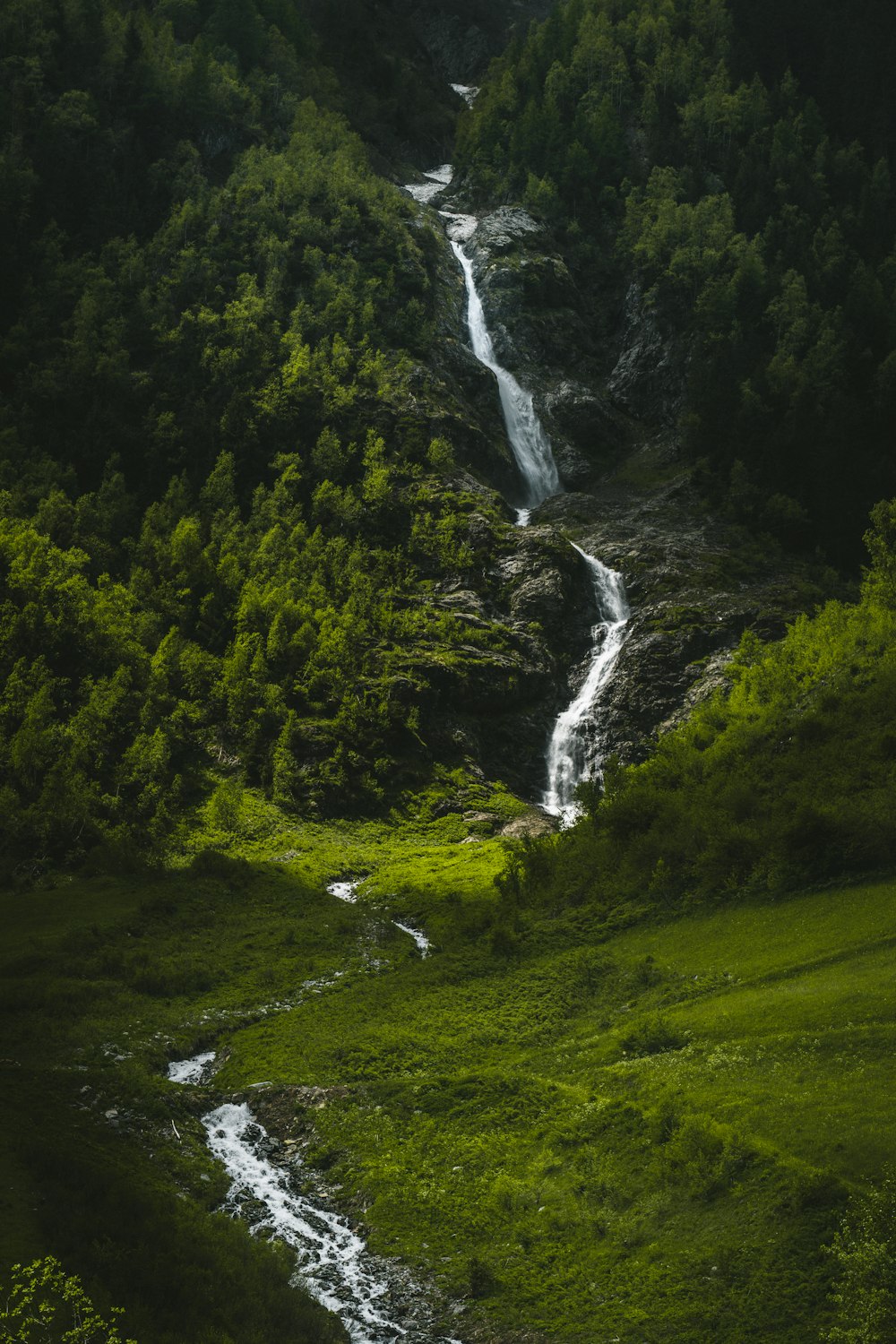 a stream running through a lush green forest