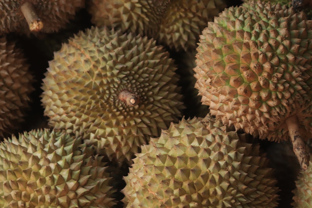 um close up de um cacho de fruta durian