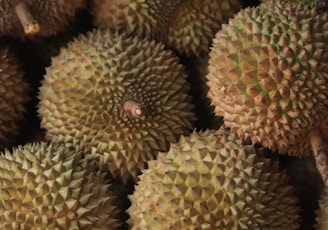 a close up of a bunch of durian fruit