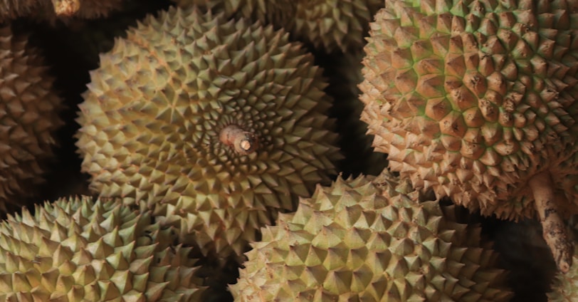 a close up of a bunch of durian fruit