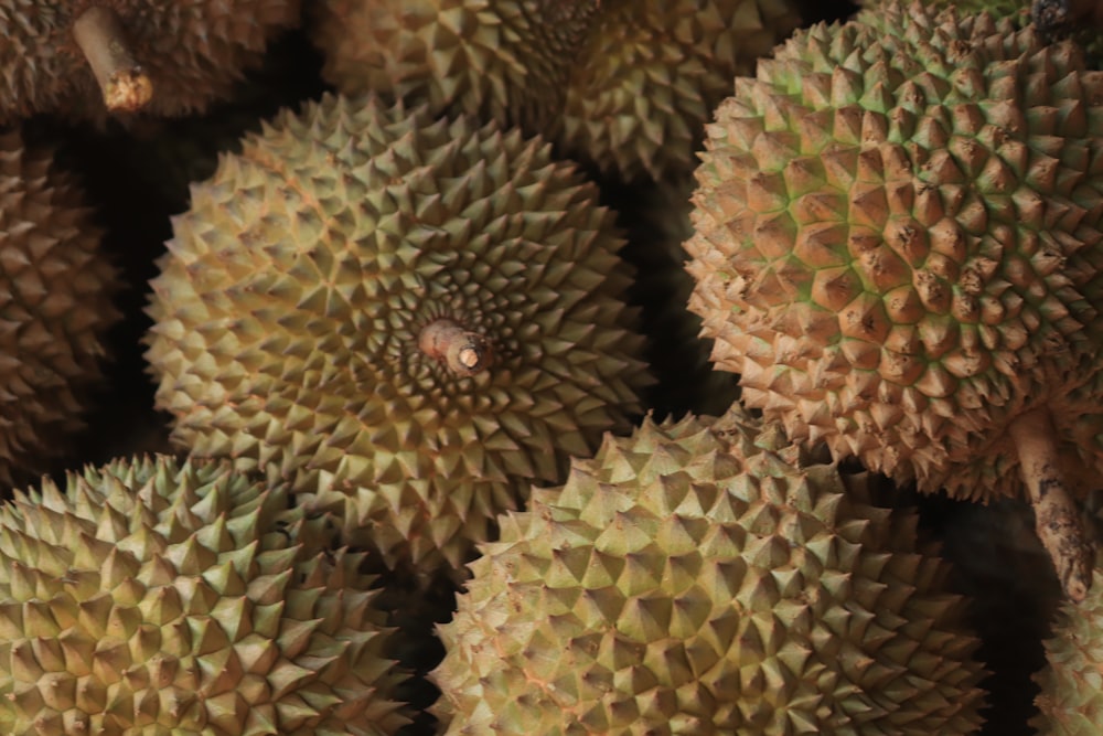 a close up of a bunch of durian fruit