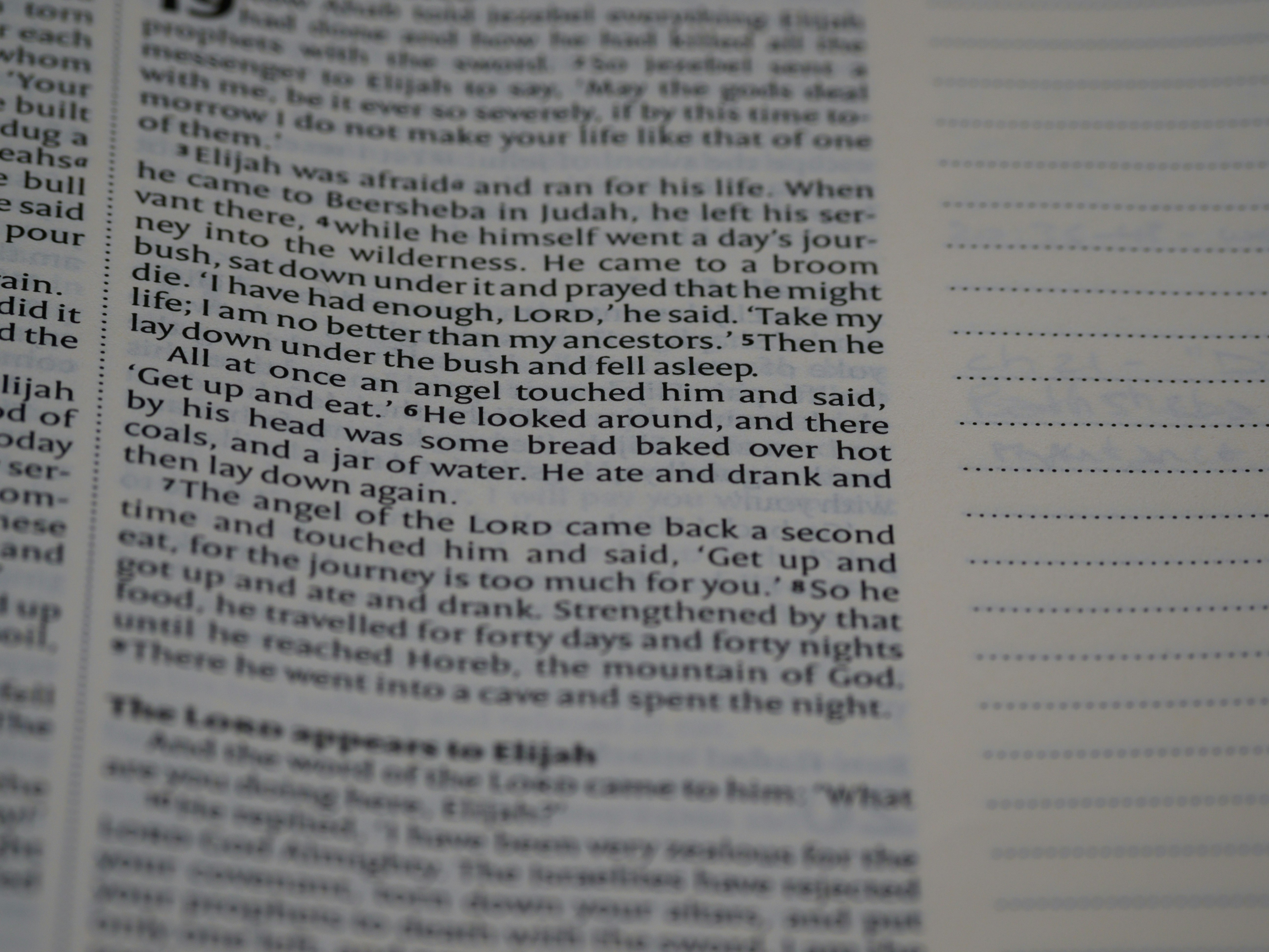 Photo by brett_jordan