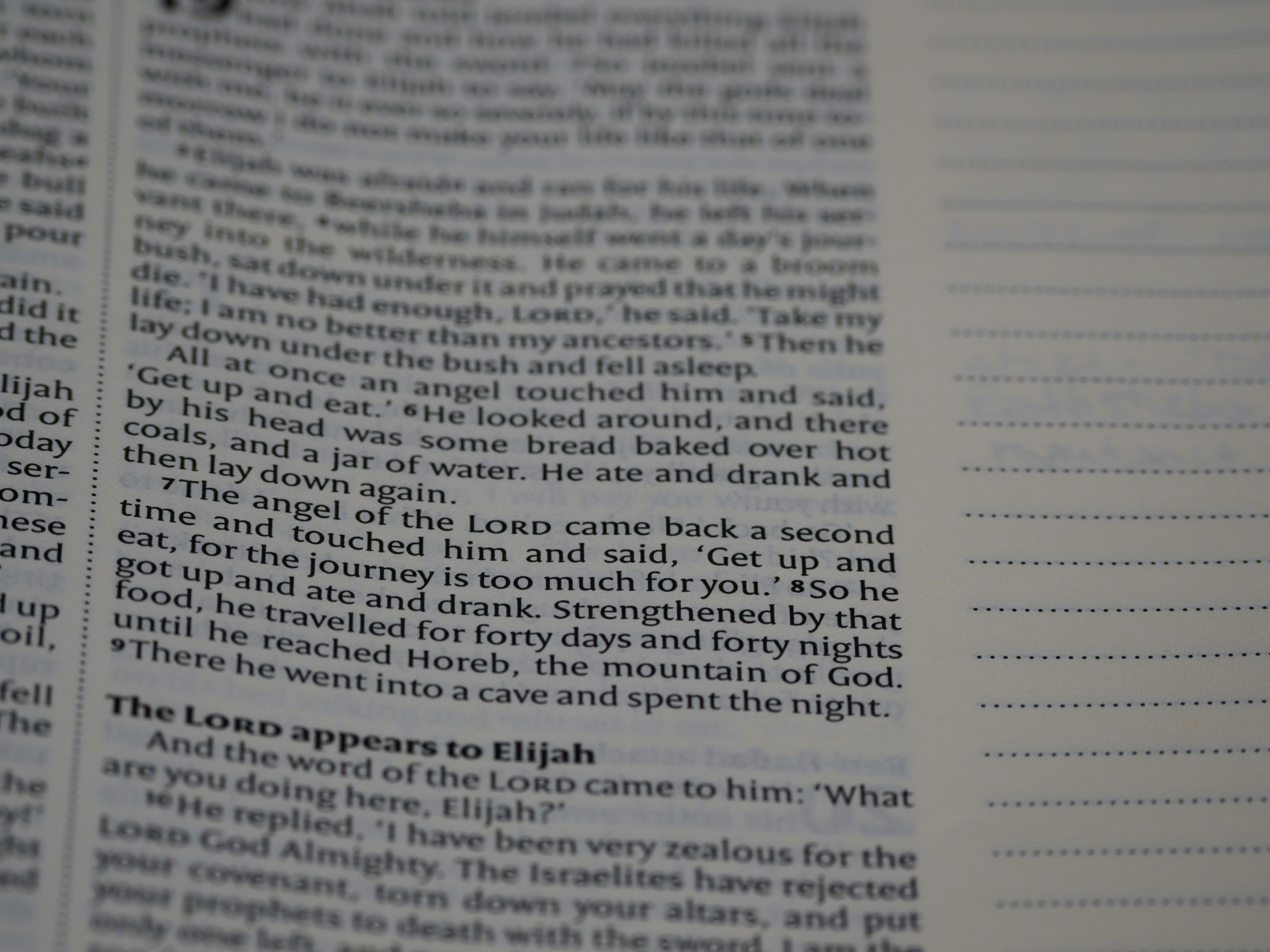 Photo by brett_jordan