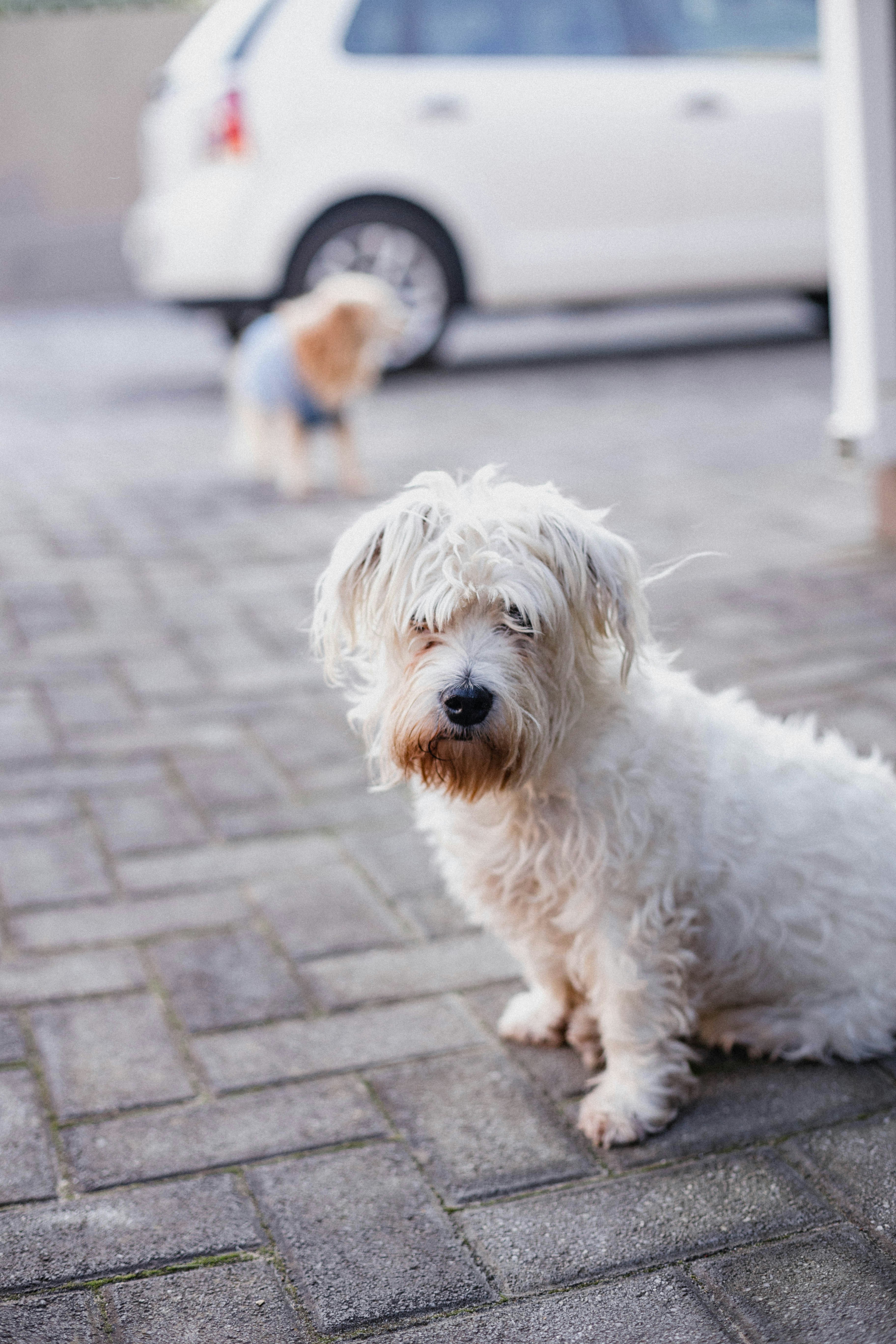 Photo by sincerelymedia