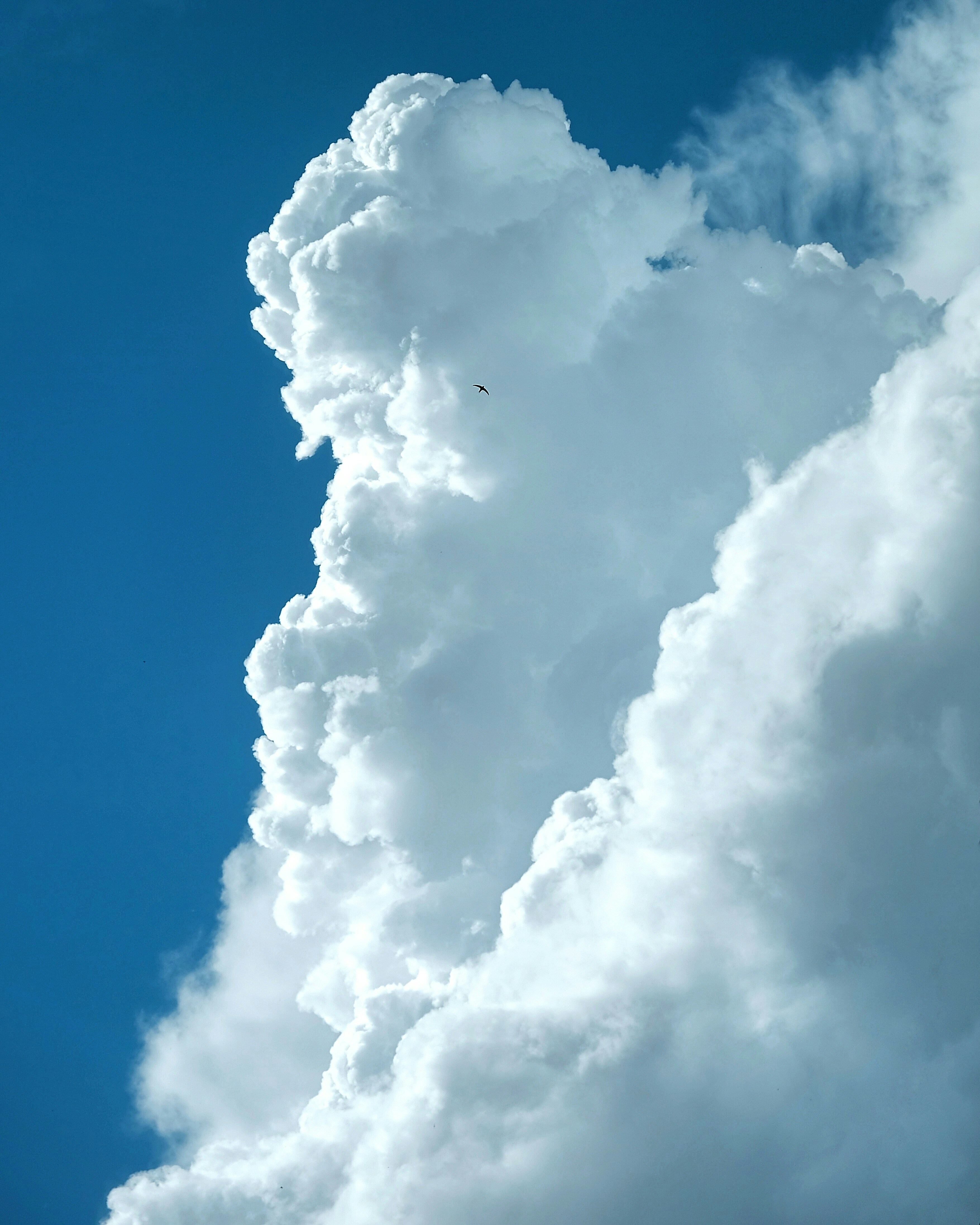 a plane flying through a cloud filled sky