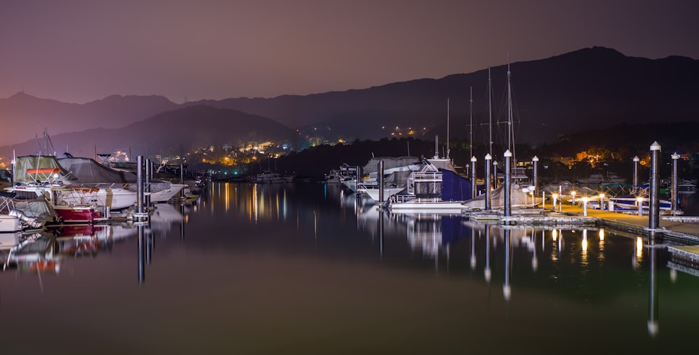 a harbor filled with lots of boats at night