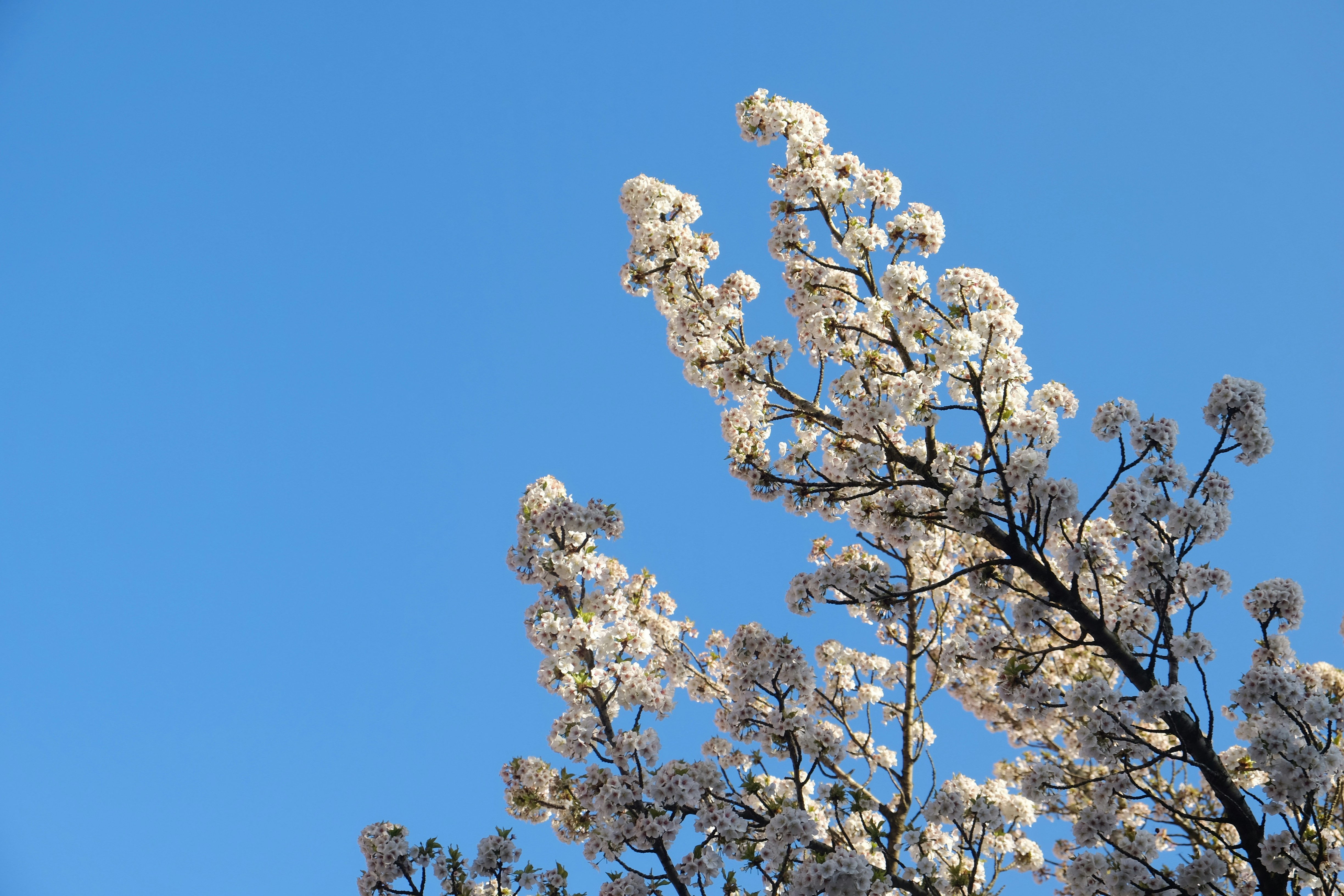 Photo by milchschoko