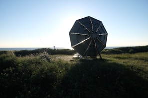 a large umbrella sitting on top of a lush green field