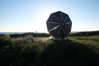 a large umbrella sitting on top of a lush green field