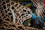 A tangled arrangement of ropes and nets in various colors, primarily beige and blue. The texture of the nets is prominent, showcasing intricately woven patterns. Some ropes are multicolored, including light green and red tints. The overall appearance is rugged and maritime.
