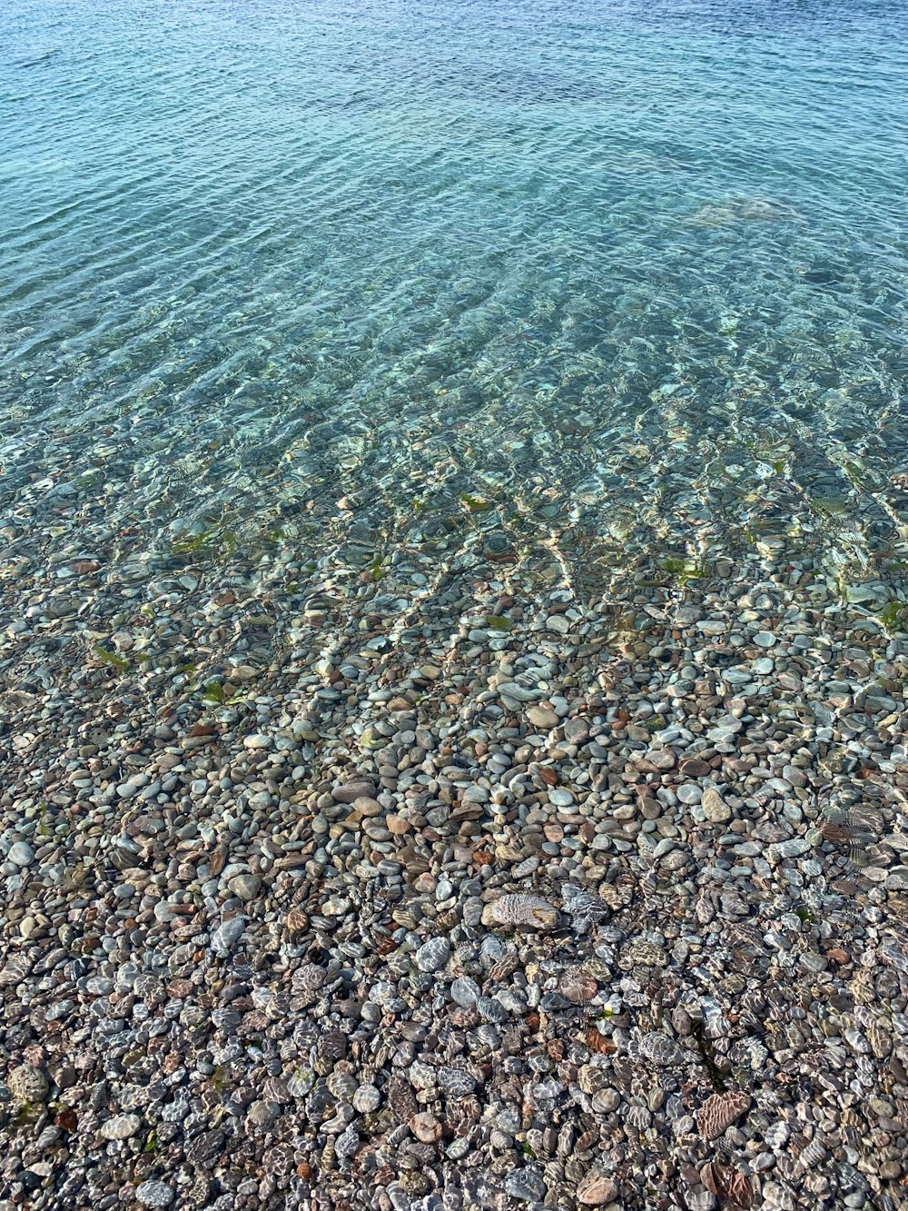 a body of water that has rocks in it