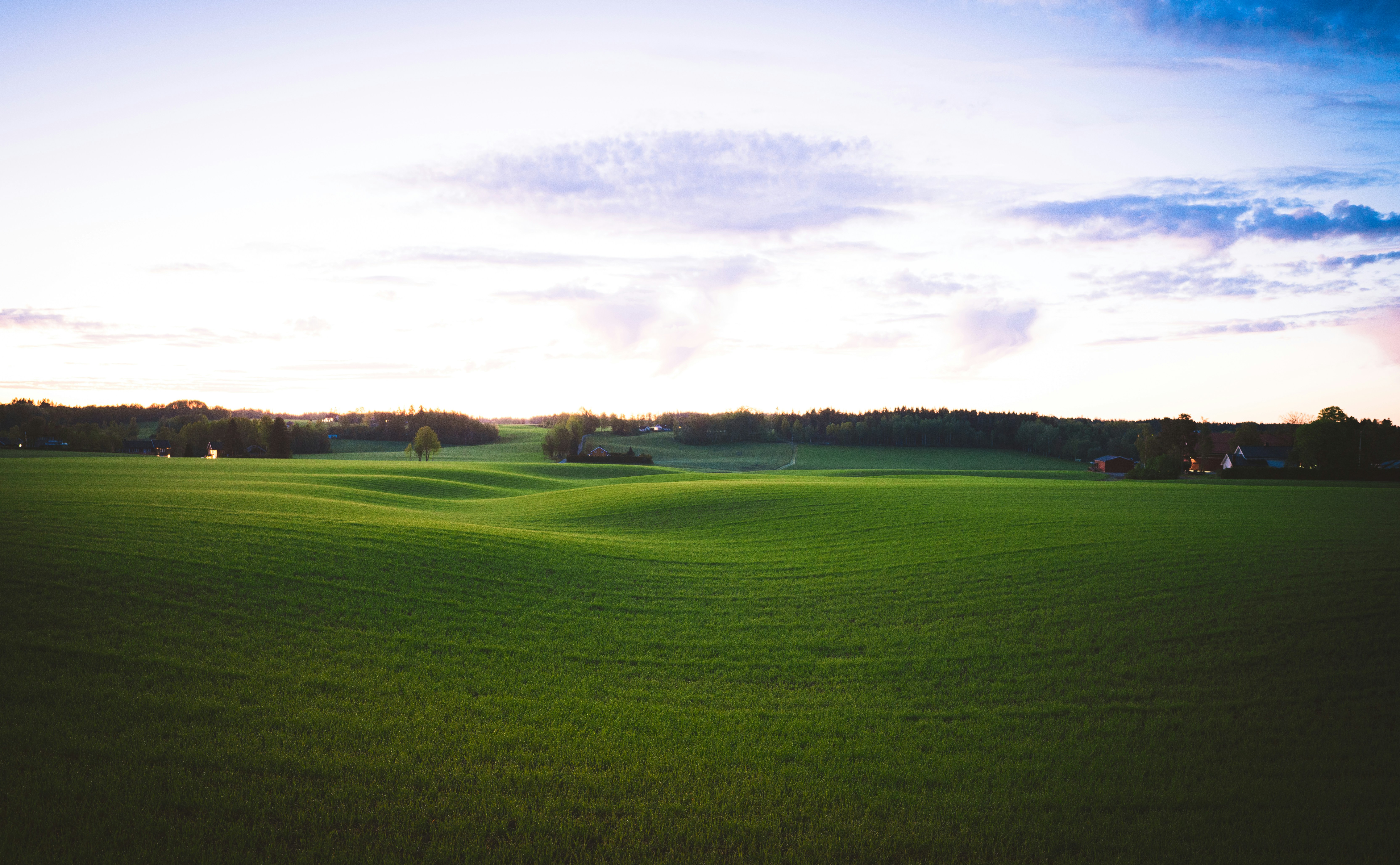 Photo by nihongraphy2