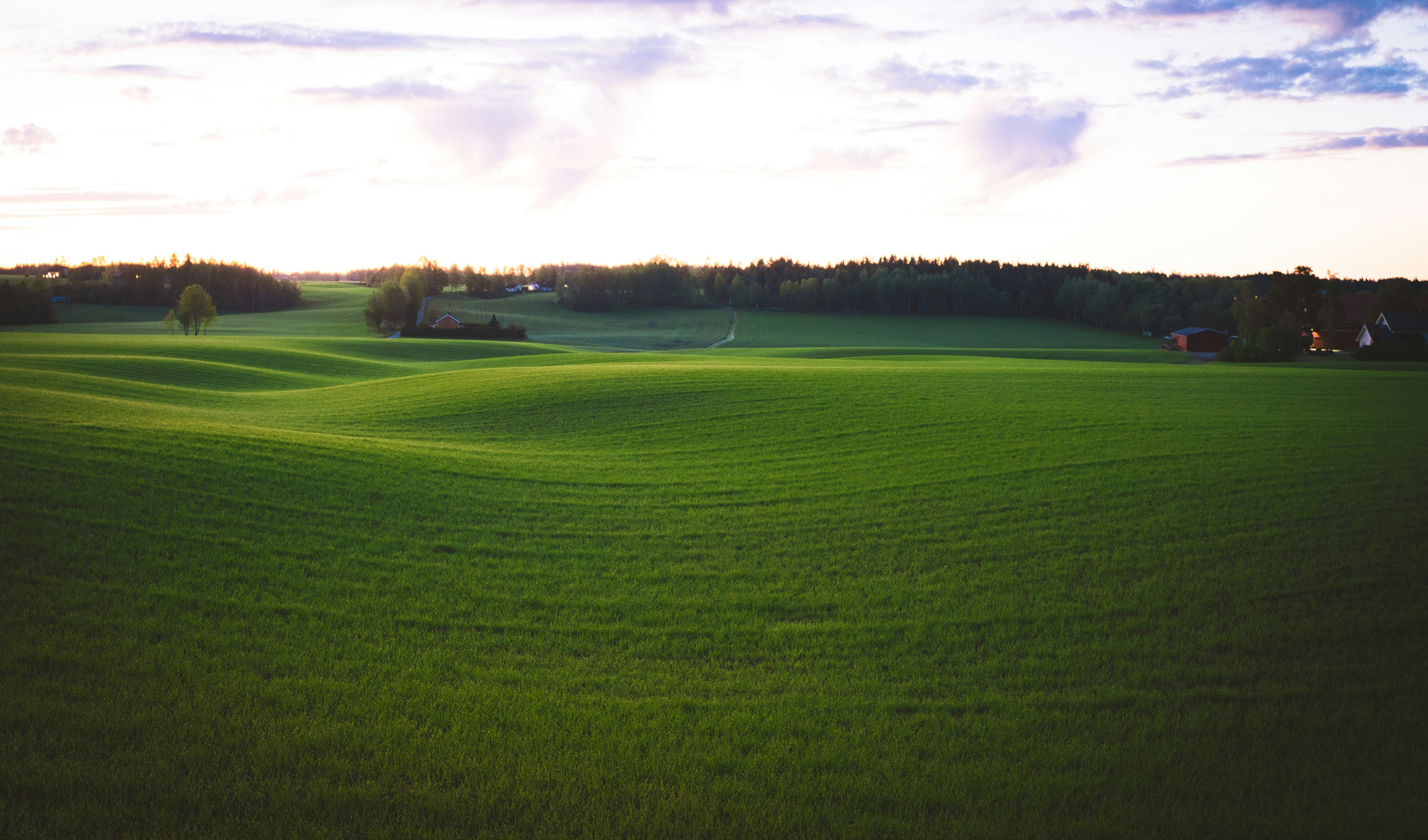 Photo by nihongraphy2