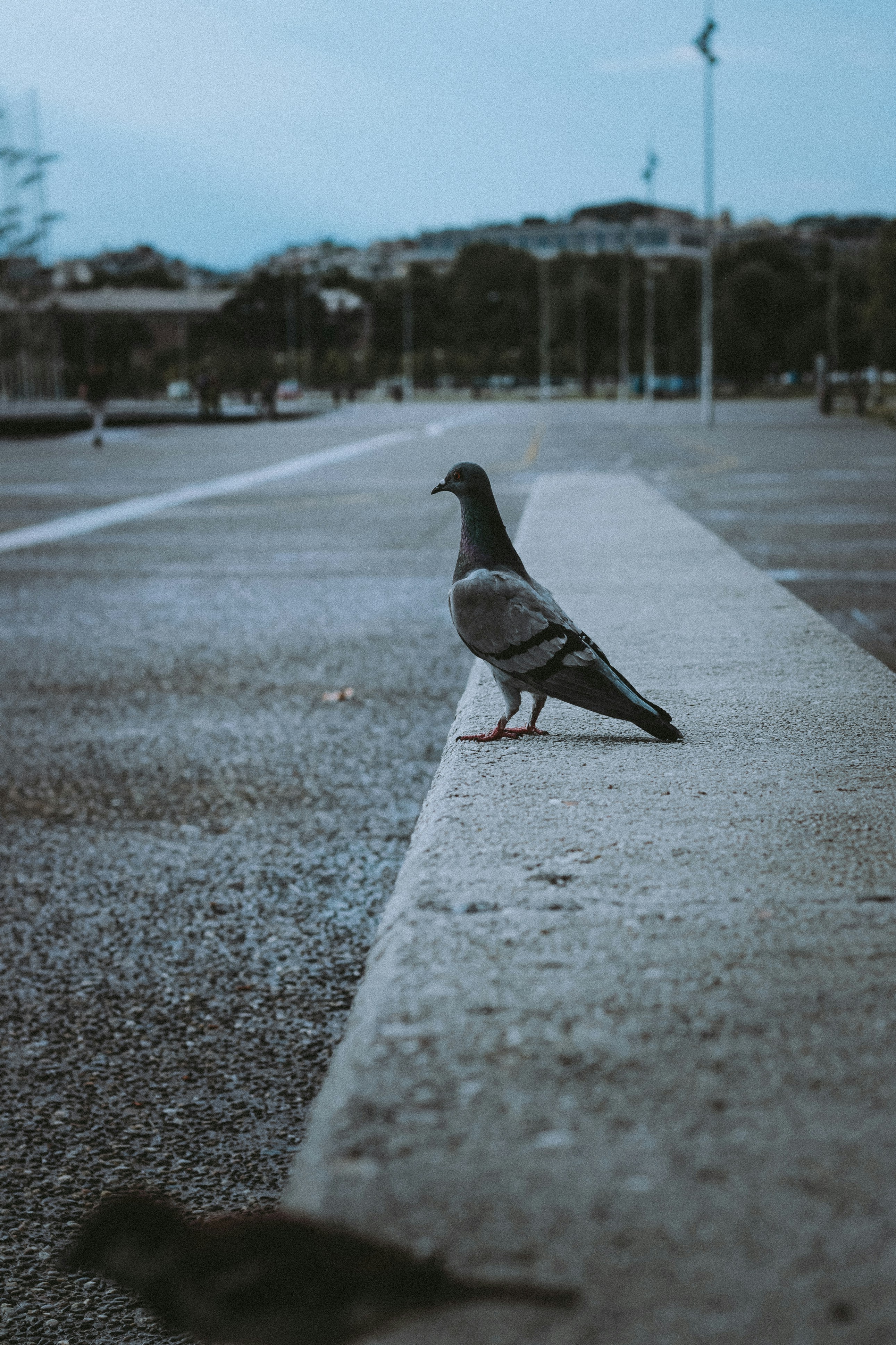 How to Win Big in State of Survival