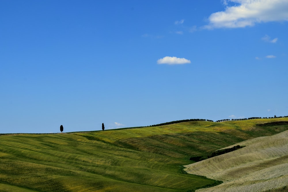 a couple of people standing on top of a lush green hillside