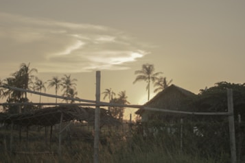 A rural landscape with a sunset casting a warm glow over the scene. Palm trees are silhouetted against the sky, and there are simple thatched-roof structures in the foreground, surrounded by a rustic fence.