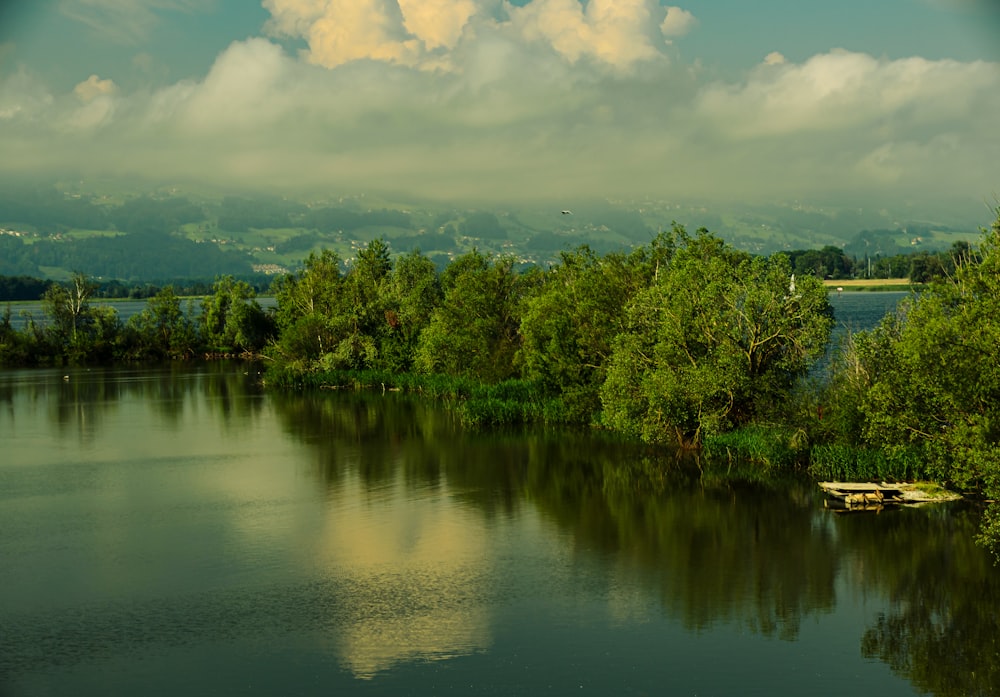 a body of water surrounded by trees and clouds