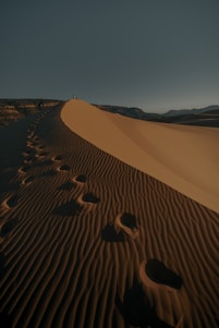 a group of footprints that are in the sand