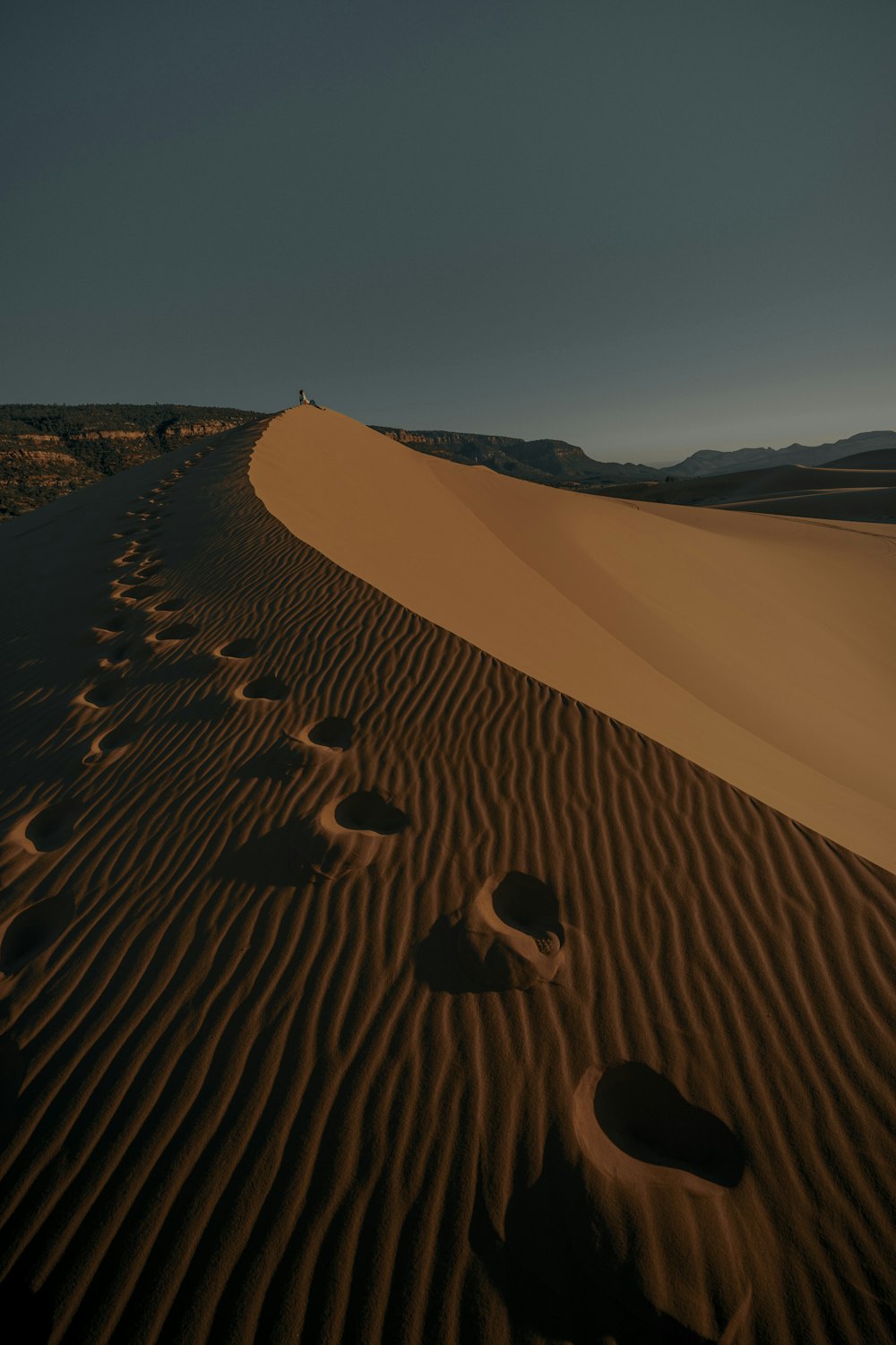 a group of footprints that are in the sand