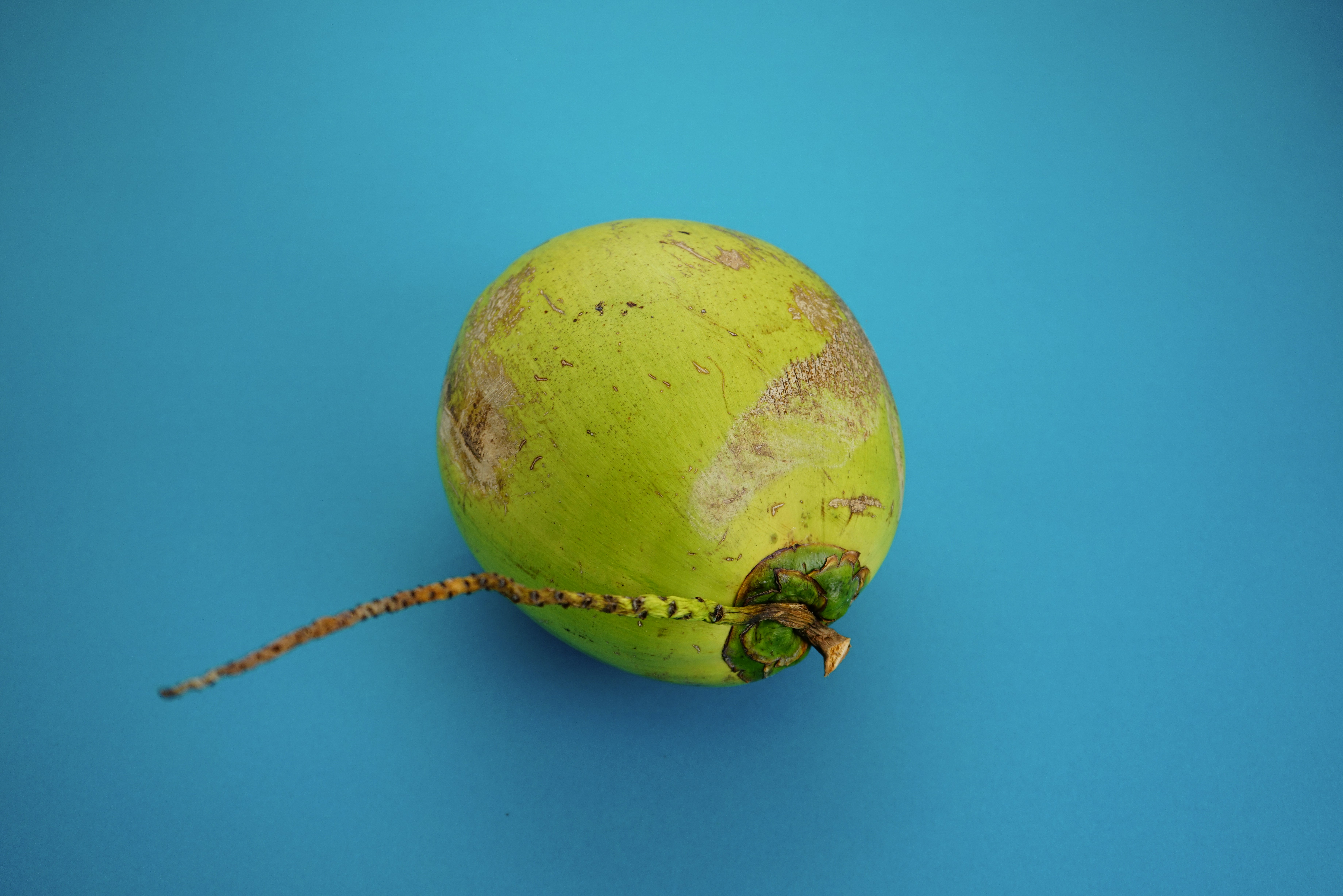 a green coconut on a blue background