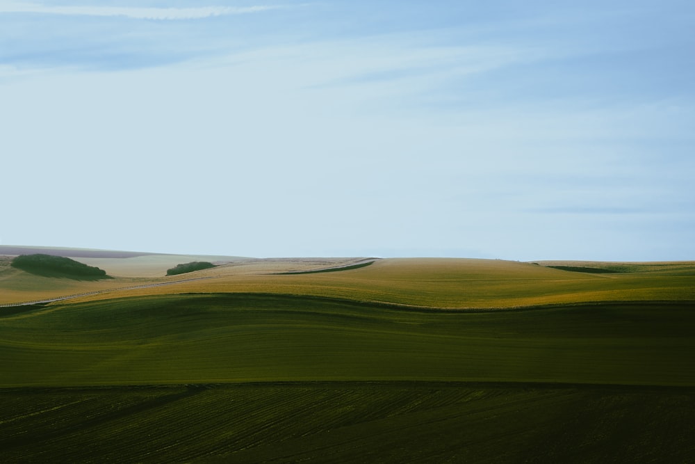 a field of green grass with hills in the background