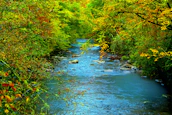 A serene river flowing through a vibrant forest, symbolizing water protection efforts.