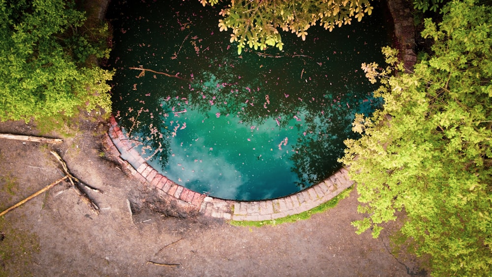 an aerial view of a pond surrounded by trees