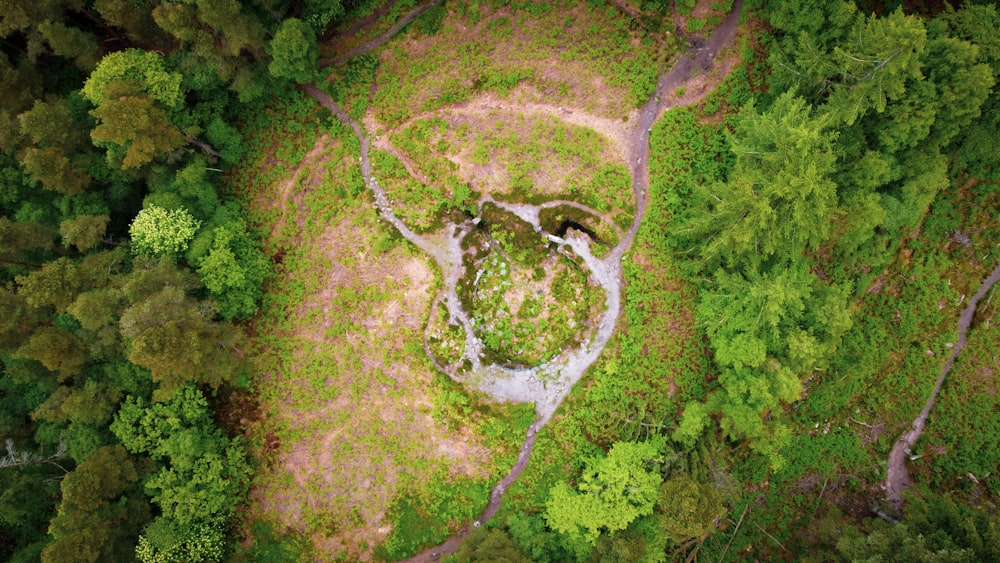 an aerial view of a wooded area with trees