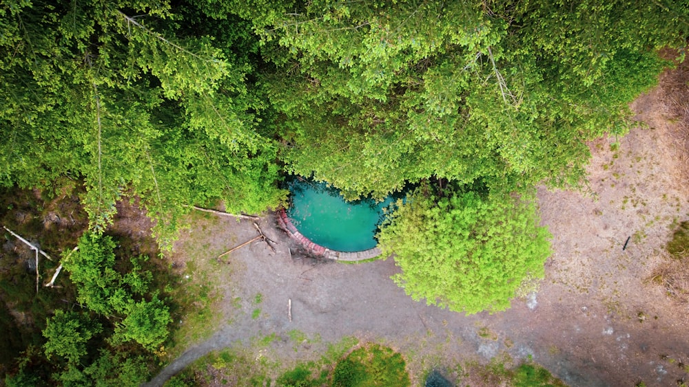 an aerial view of a river surrounded by trees