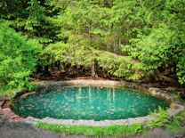 a pond surrounded by trees in the middle of a forest