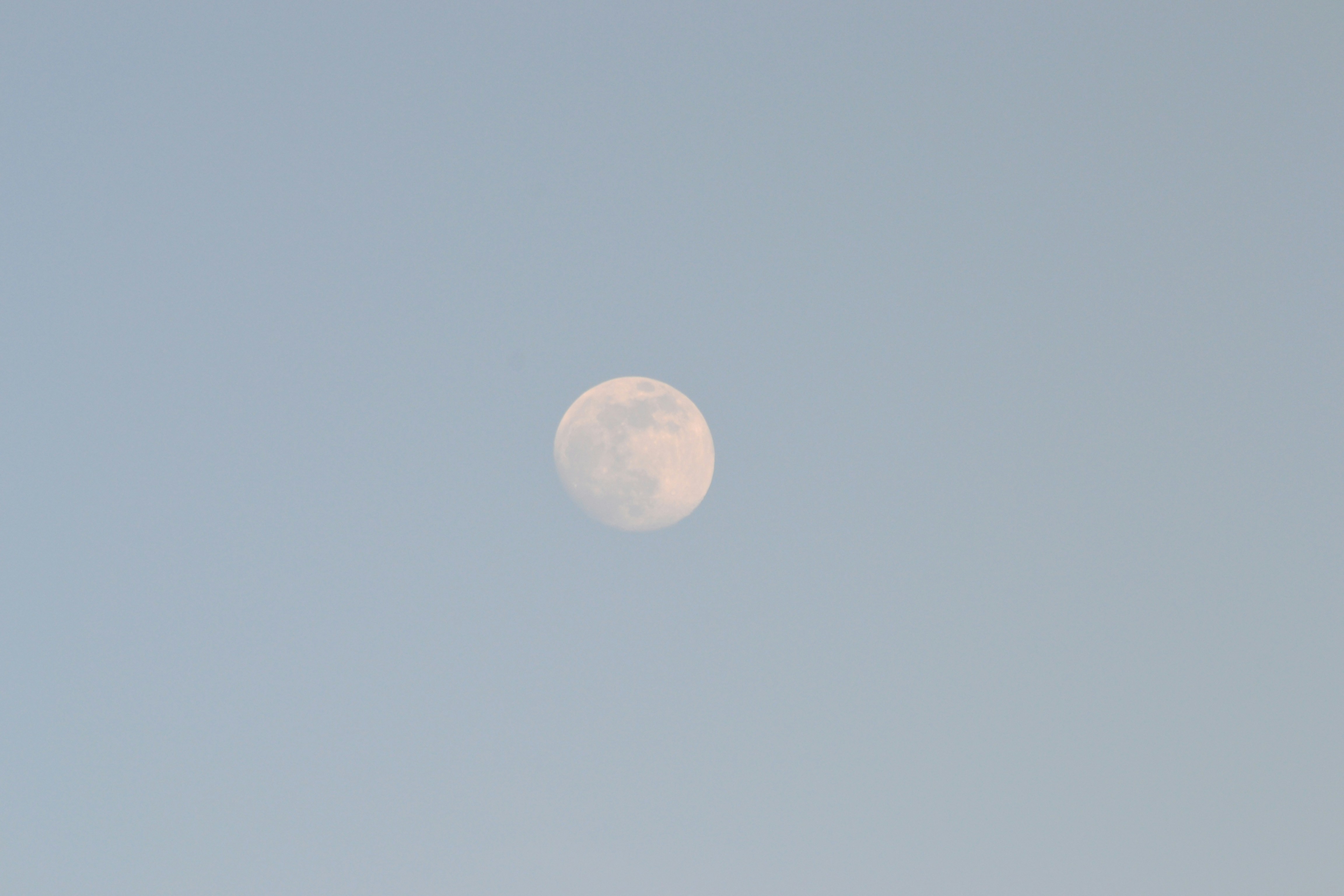 Photo by felixgething