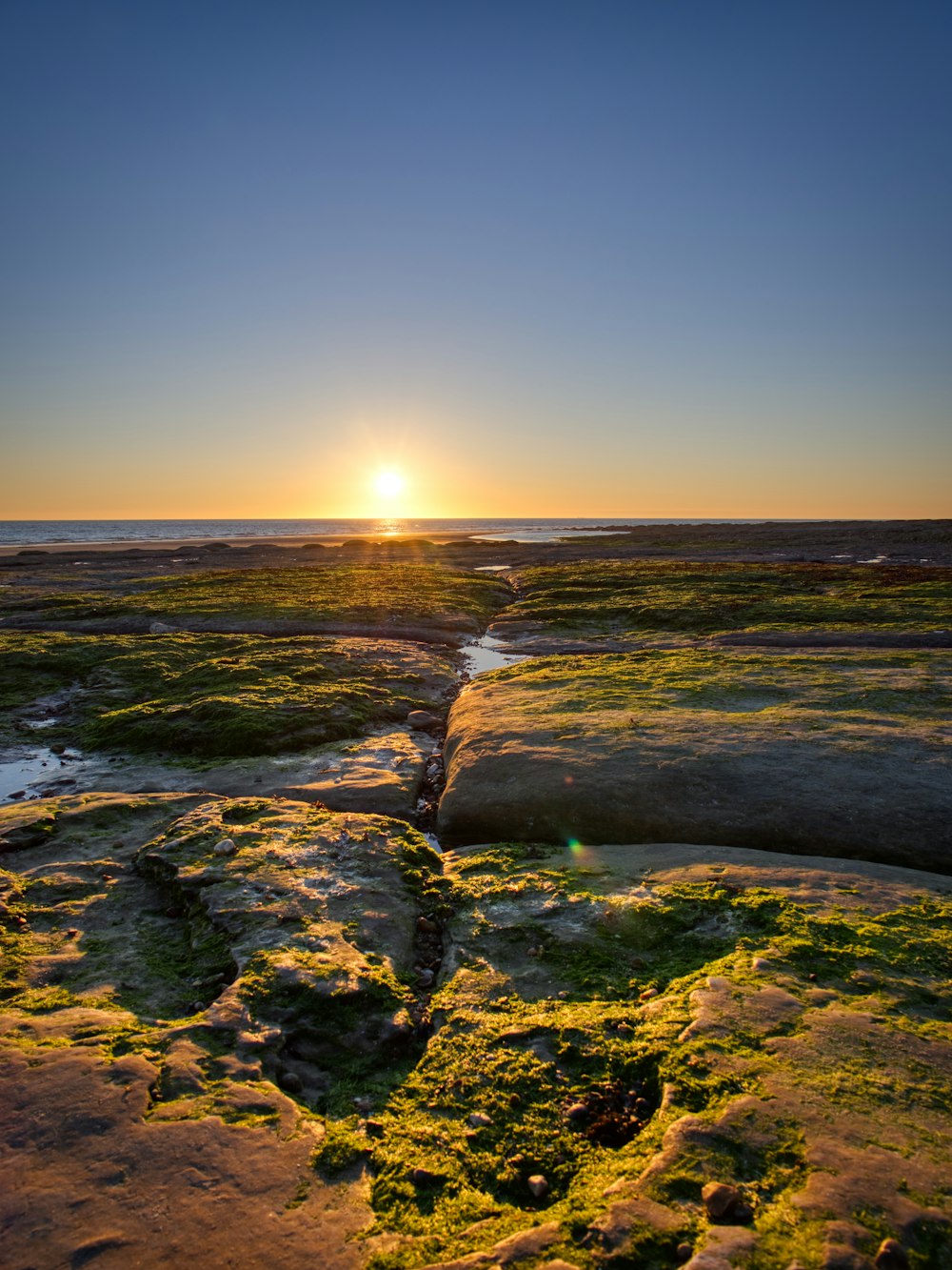 rocky shore under blue sky during daytime