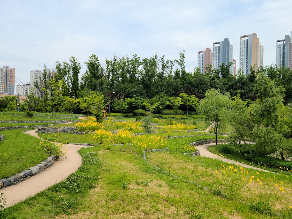 a lush green park with yellow flowers and trees