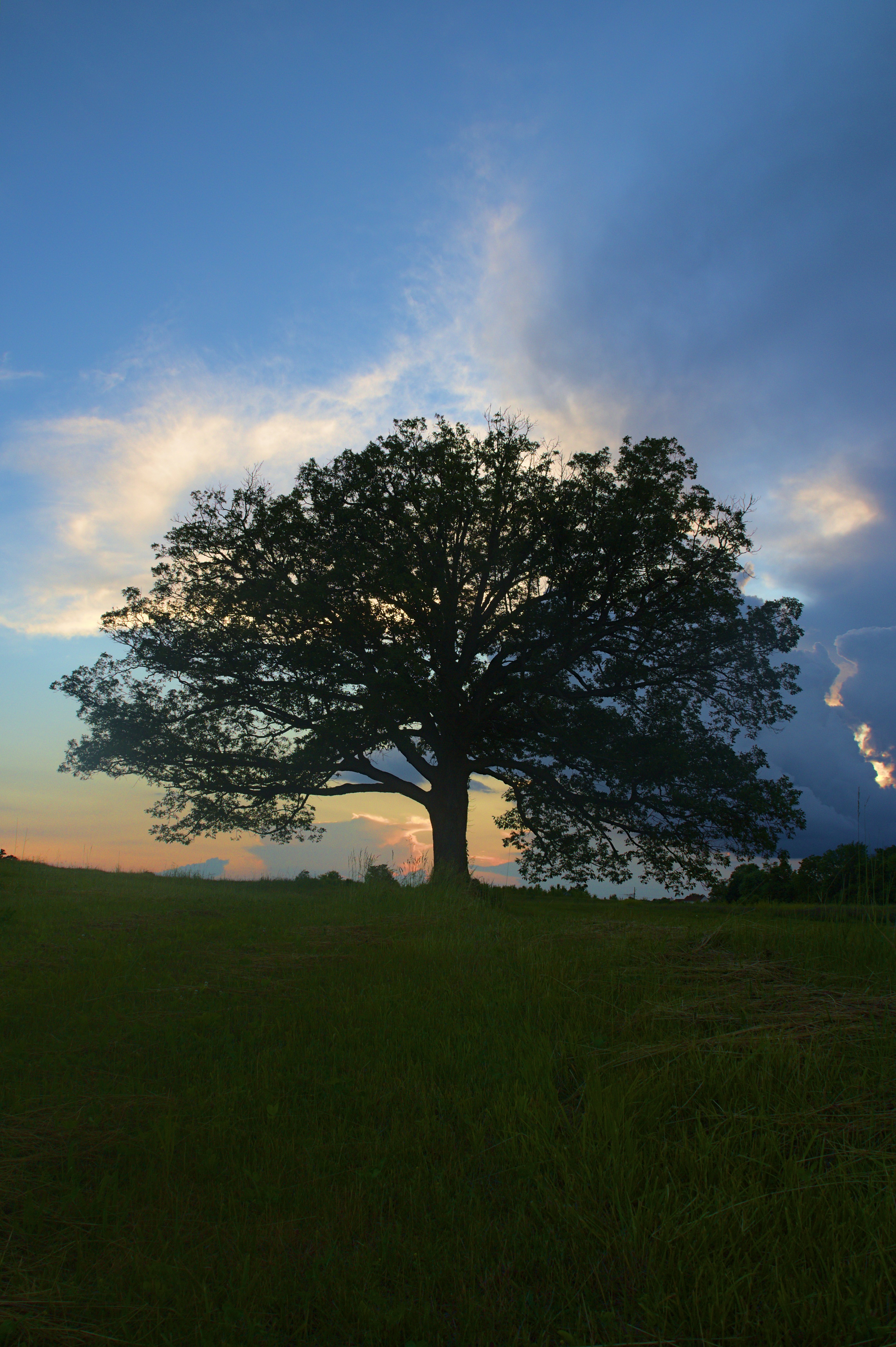 Photo by mrgreatheart