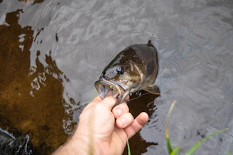 fishing grippers