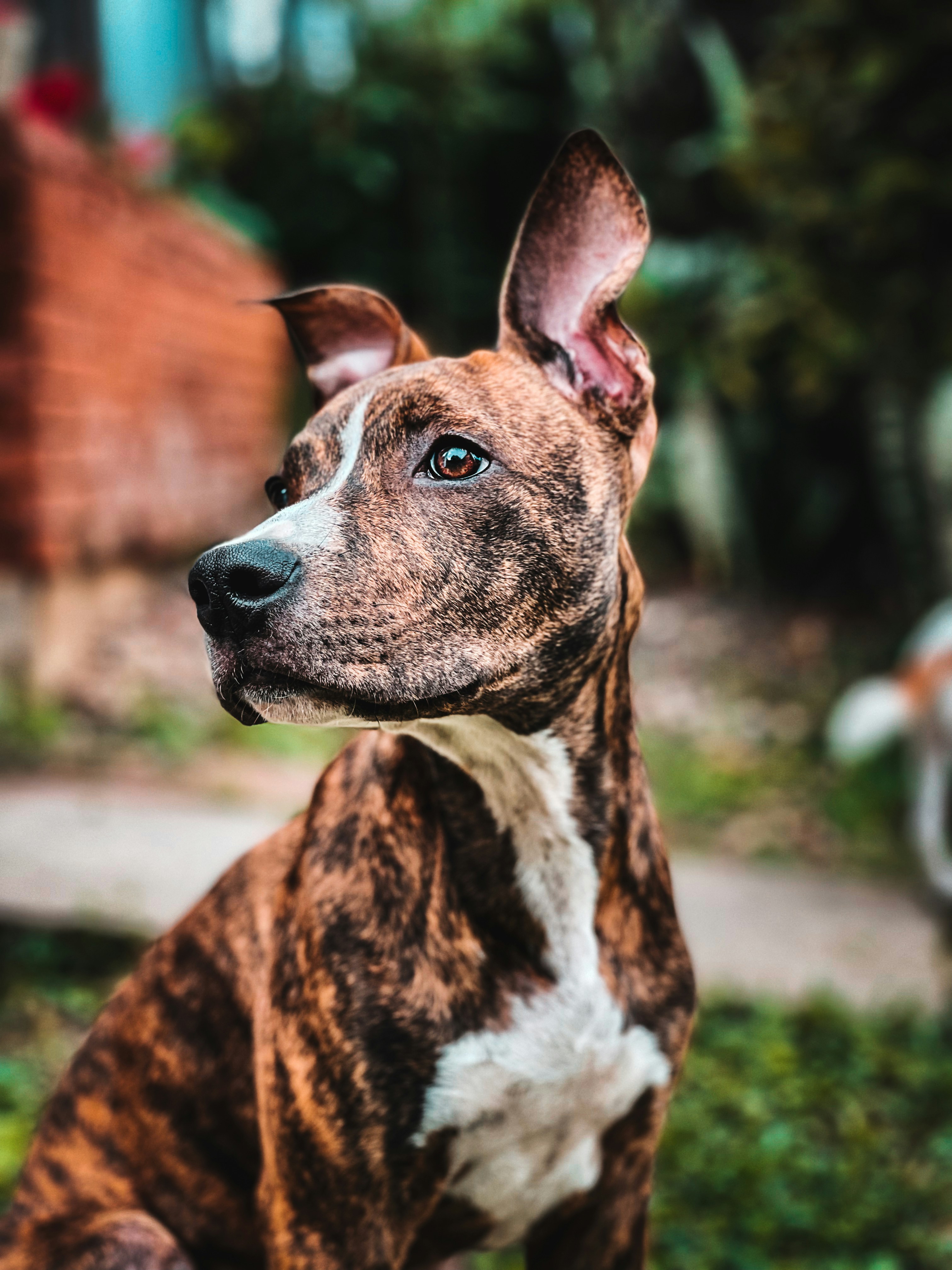 Photo by fernandocascante