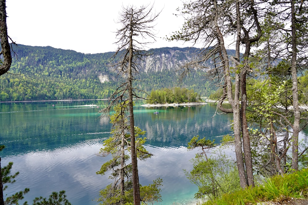 a body of water surrounded by trees and mountains