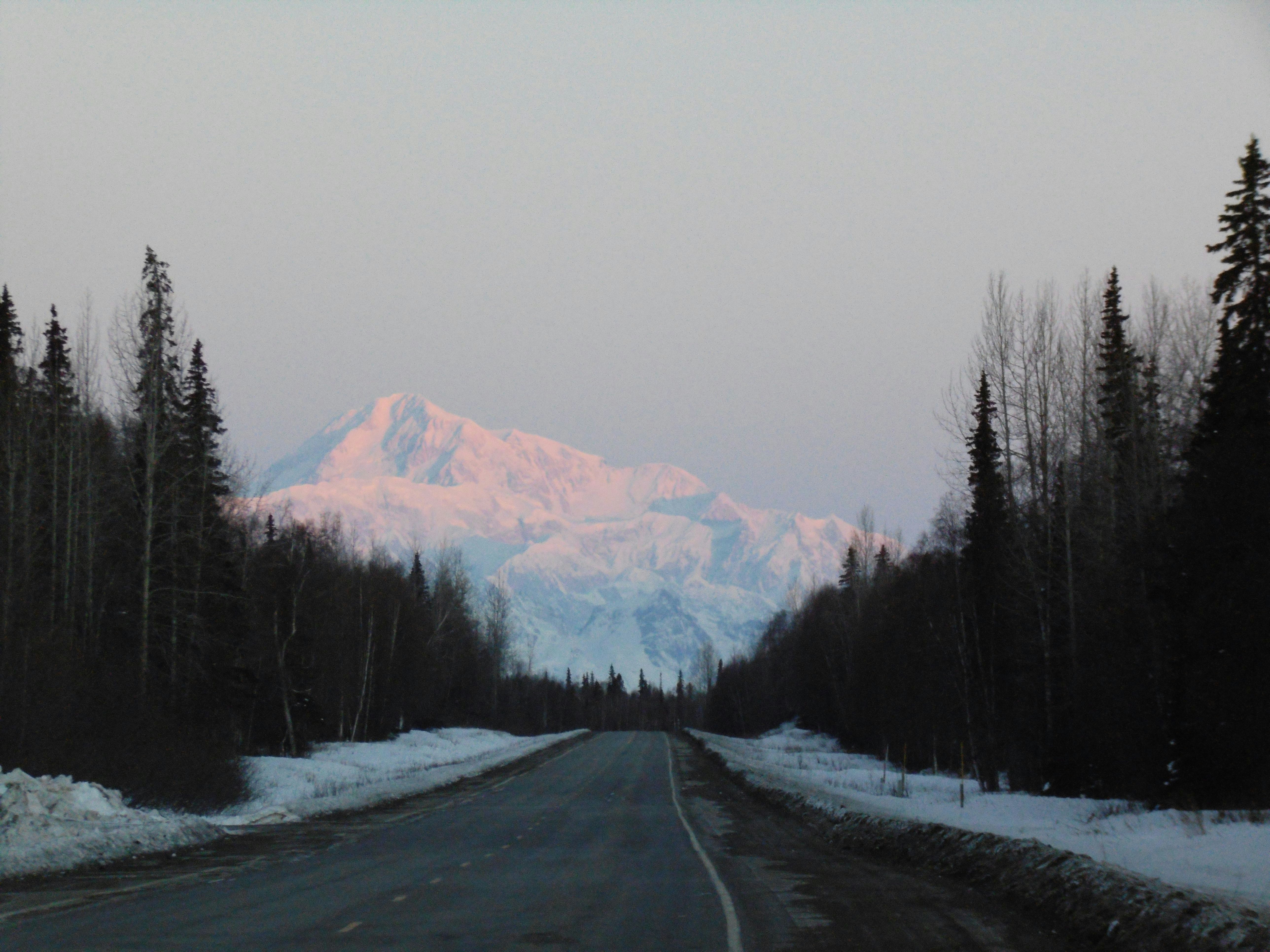 gray asphalt road between trees and mountains during daytime