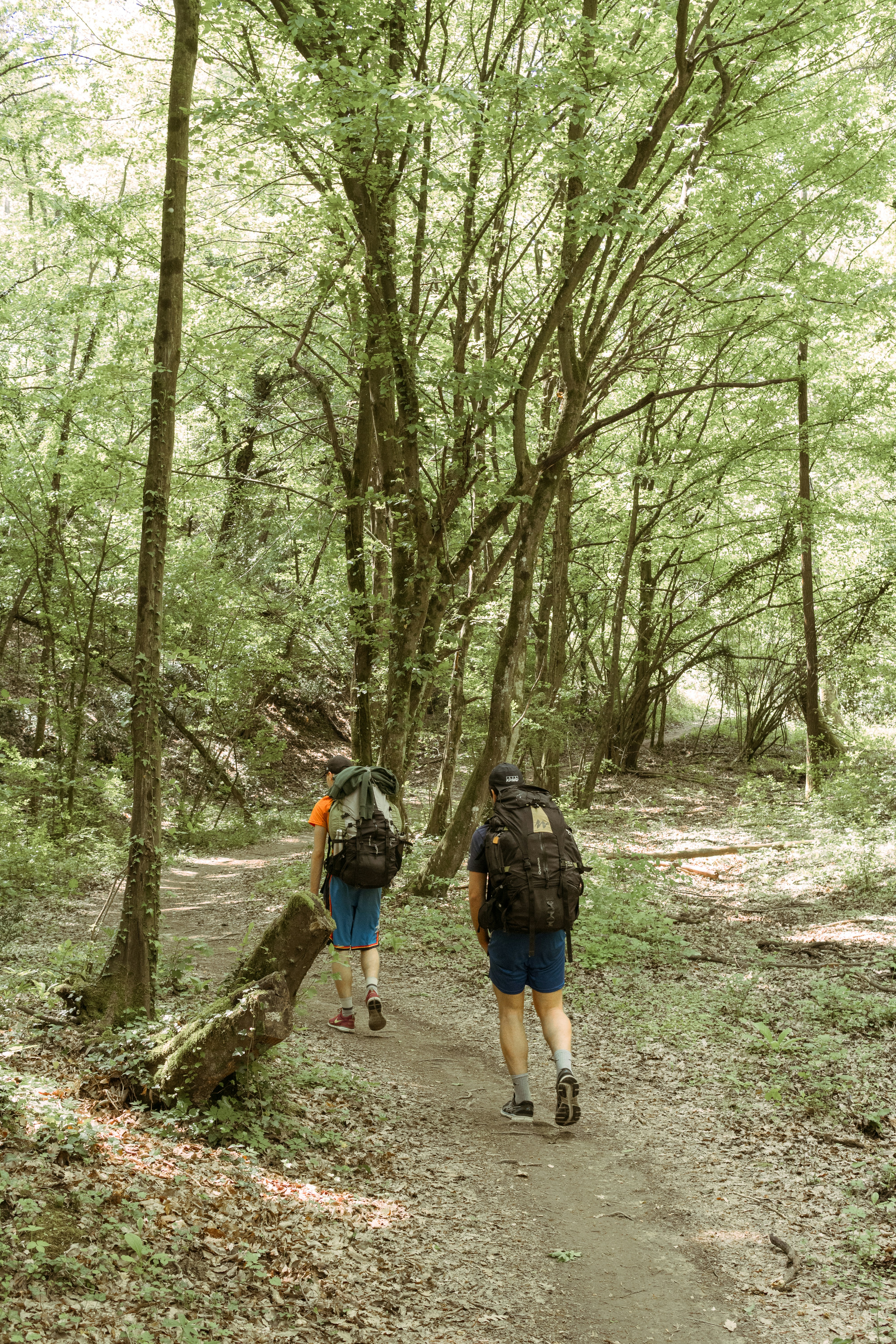 Photo by alessandrocavestro_