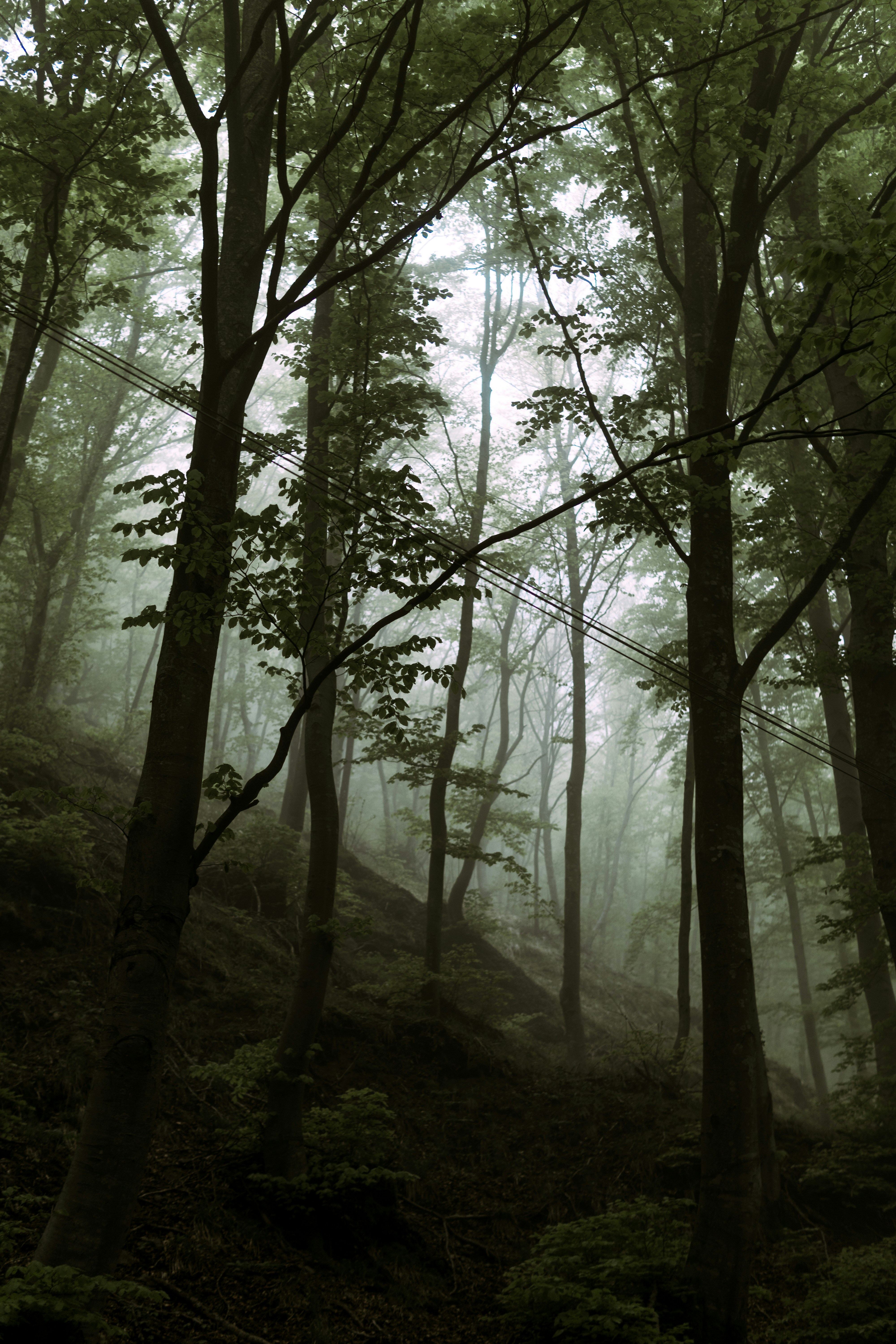 Photo by alessandrocavestro_