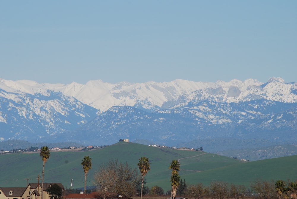 green trees near snow covered mountains during daytime