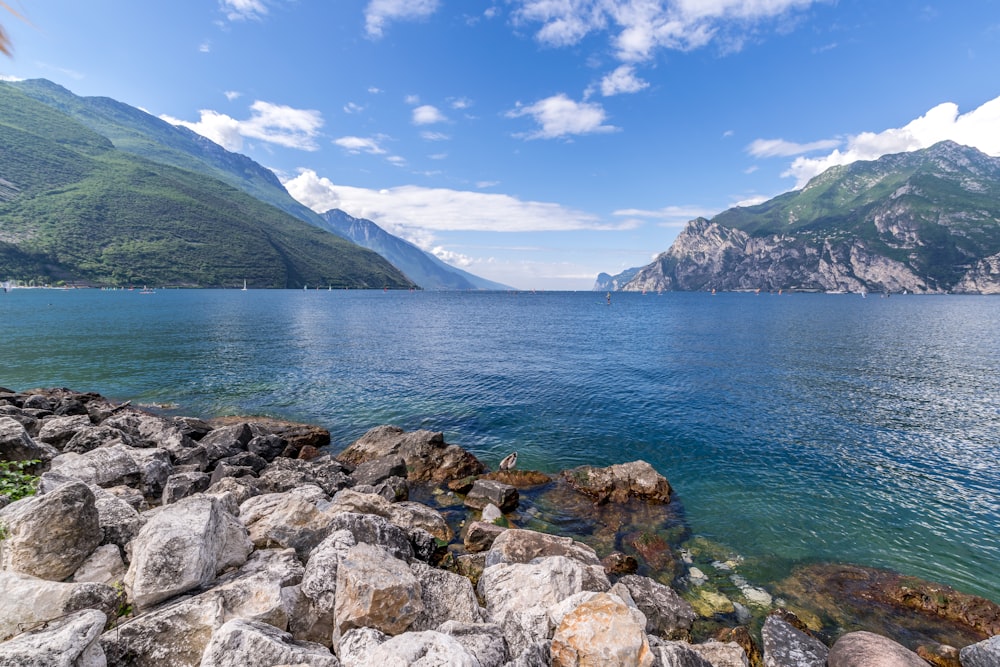 Spiaggia rocciosa grigia vicino a montagne verdi sotto cielo blu durante il giorno