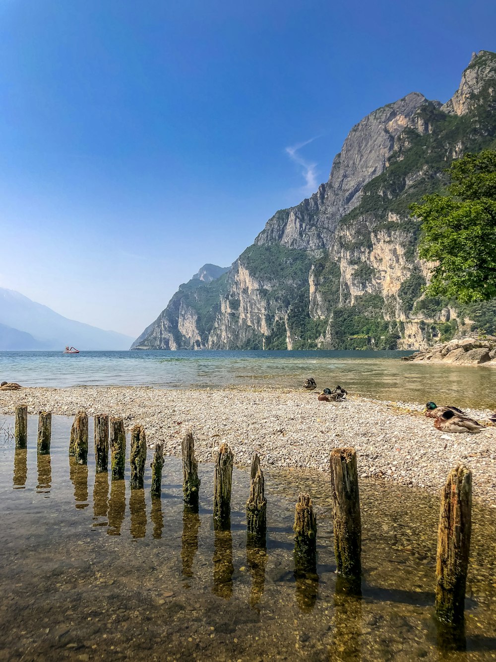 brown wooden posts on beach near green mountain under blue sky during daytime