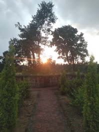 A garden path made of red tiles leads towards a few large trees, with the sun setting or rising in the background, casting a warm glow. The path is flanked by tall green bushes and there is a low stone wall partially visible beyond the foliage.