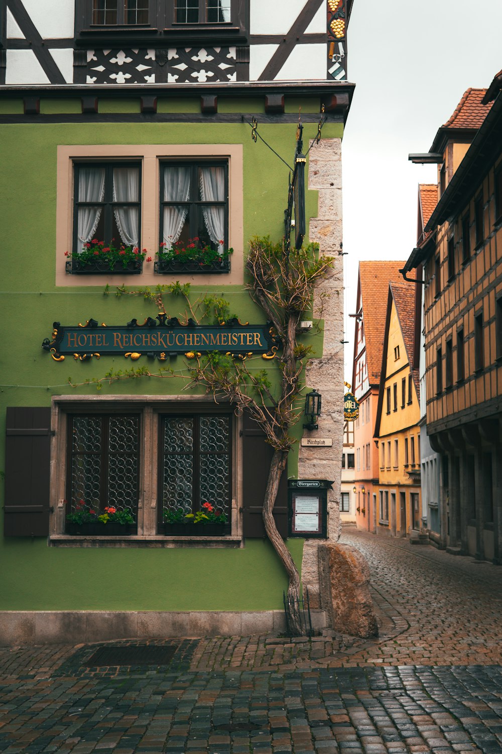 a green building with a tree growing out of it