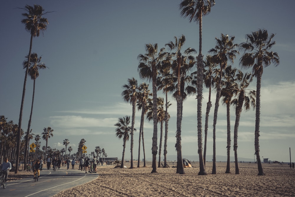 a group of people riding bikes down a beach