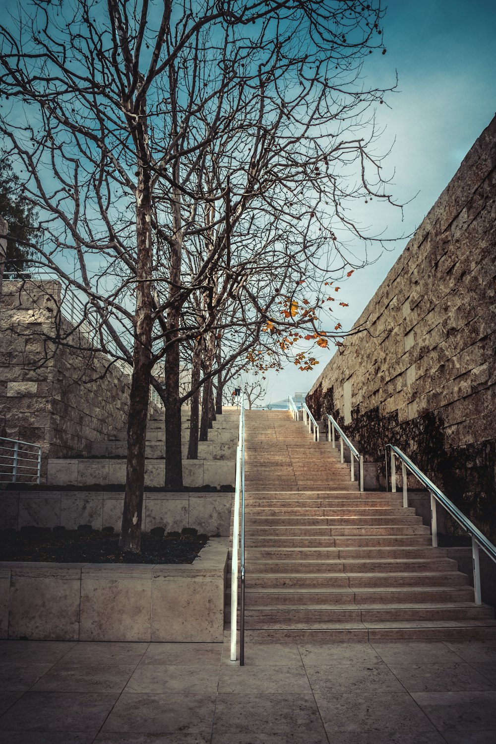 a set of stairs leading up to a tree