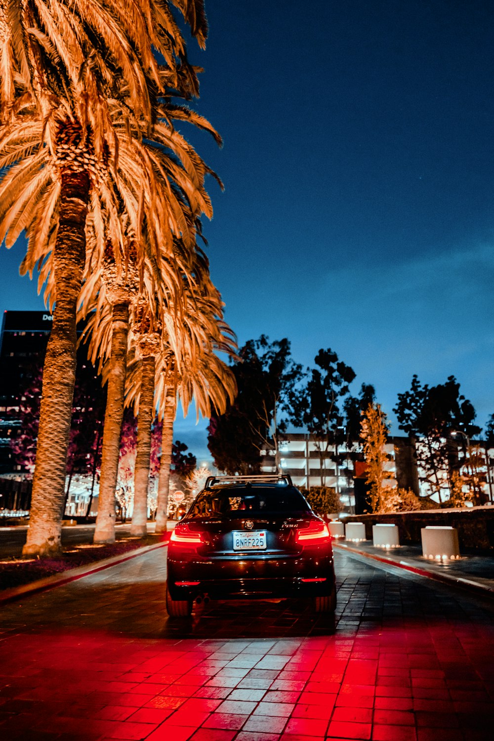 a car driving down a street next to palm trees