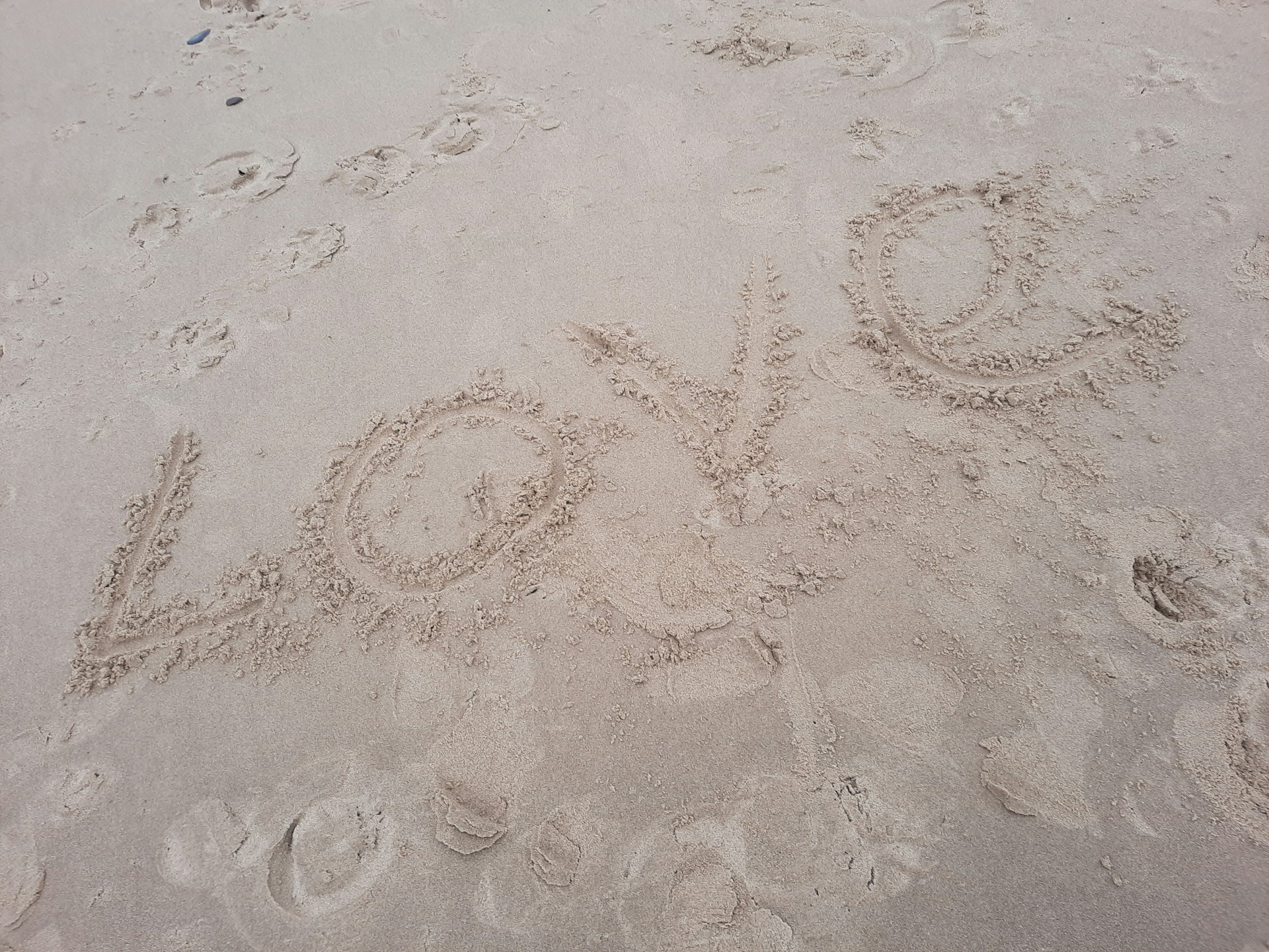 white and brown floral textile